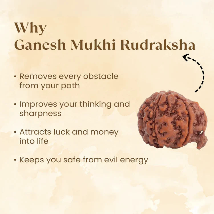 Pyrite Ganesh Ji Murti with FREE Ganesh Mukhi Rudraksha