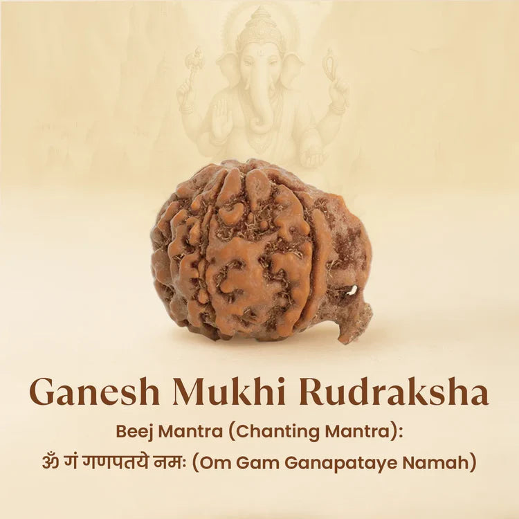 Pyrite Ganesh Ji Murti with FREE Ganesh Mukhi Rudraksha